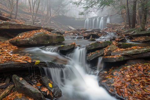 Morning Fog - Wall Art - By Nick Kalathas- Gallery Art Company