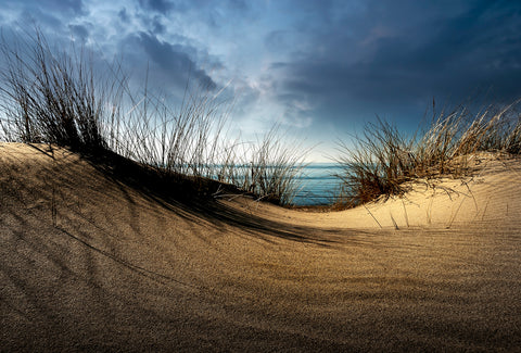 Dunes........... - Wall Art - By Wim Schuurmans- Gallery Art Company