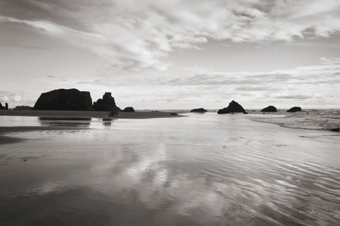 Bandon Beach Oregon II - Wall Art - By Alan Majchrowicz- Gallery Art Company