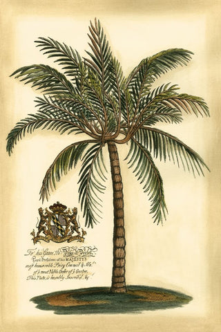 British Colonial Palm III - Wall Art - By Vision Studio- Gallery Art Company