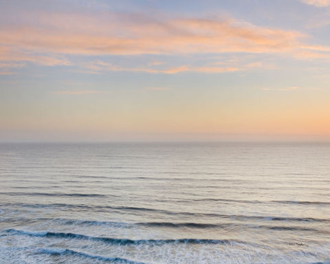 Sunset on Redwoods Coast I - Wall Art - By Alan Majchrowicz- Gallery Art Company