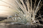 Pearls - Wall Art - By Maryam Zahirimehr- Gallery Art Company