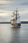 Lady Washington I - Wall Art - By Alan Majchrowicz- Gallery Art Company