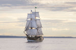 Lady Washington II - Wall Art - By Alan Majchrowicz- Gallery Art Company