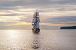 Lady Washington III - Wall Art - By Alan Majchrowicz- Gallery Art Company