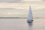 Sailboat in Semiahmoo Bay - Wall Art - By Alan Majchrowicz- Gallery Art Company