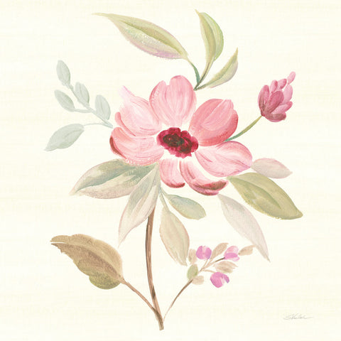 Petals and Blossoms VI - Wall Art - By Silvia Vassileva- Gallery Art Company
