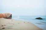Coastal Rocks - Wall Art - By Aledanda- Gallery Art Company