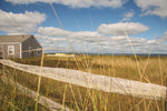 The Cottage - Wall Art - By Aledanda- Gallery Art Company