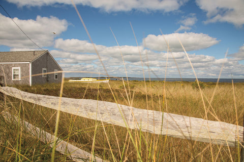 The Cottage - Wall Art - By Aledanda- Gallery Art Company
