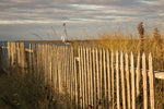Along the Fence I - Wall Art - By Aledanda- Gallery Art Company