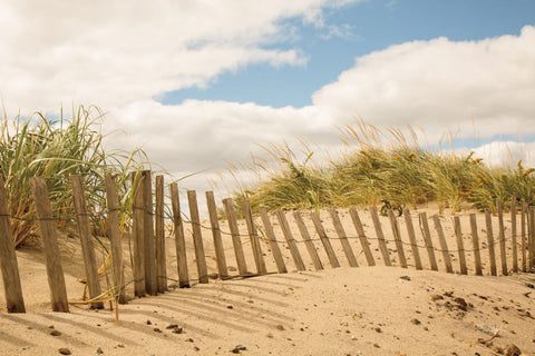 Beach Dunes I - Wall Art - By Aledanda- Gallery Art Company