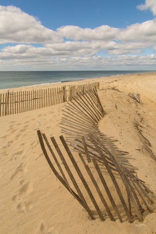 Beach Dunes II - Wall Art - By Aledanda- Gallery Art Company