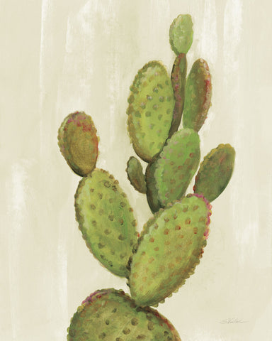 Front Yard Cactus I - Wall Art - By Silvia Vassileva- Gallery Art Company