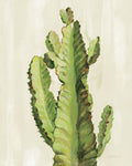 Front Yard Cactus II - Wall Art - By Silvia Vassileva- Gallery Art Company
