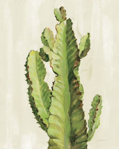 Front Yard Cactus II - Wall Art - By Silvia Vassileva- Gallery Art Company