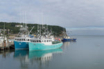 Bay of Fundy I - Wall Art - By Alan Majchrowicz- Gallery Art Company