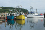 Bay of Fundy II - Wall Art - By Alan Majchrowicz- Gallery Art Company