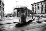 In Town - Wall Art - By Aledanda- Gallery Art Company