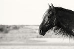 Pretty Girl - Wall Art - By Aledanda- Gallery Art Company