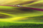 Golden fields - Wall Art - By Piotr Krol (Bax)- Gallery Art Company