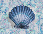 Blue Scallop - Wall Art - By Boho Hue Studio- Gallery Art Company