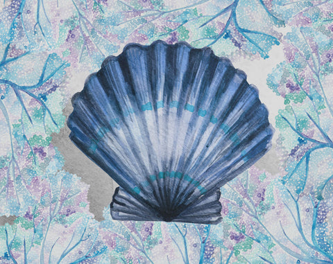 Blue Scallop - Wall Art - By Boho Hue Studio- Gallery Art Company