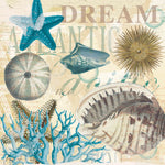 Dream Shells R1 - Wall Art - By Ophelia & Co- Gallery Art Company