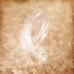 Copper Feathered 2 - Wall Art - By Kimberly Allen- Gallery Art Company