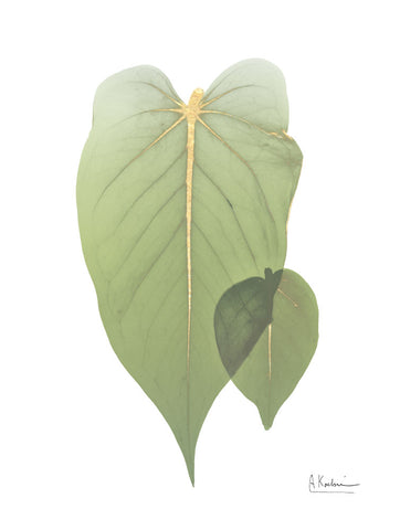 Golden Philodendron 2 - Wall Art - By Albert Koetsier- Gallery Art Company