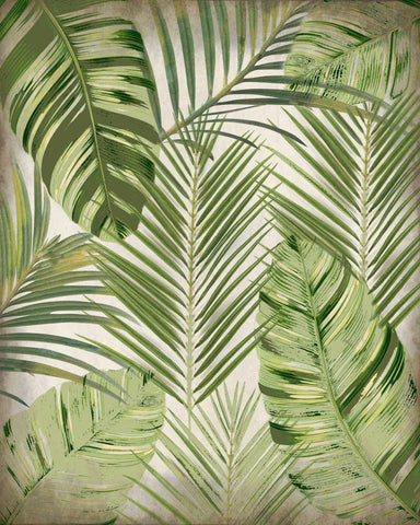 Tropic Palms 1 - Wall Art - By Kimberly Allen- Gallery Art Company