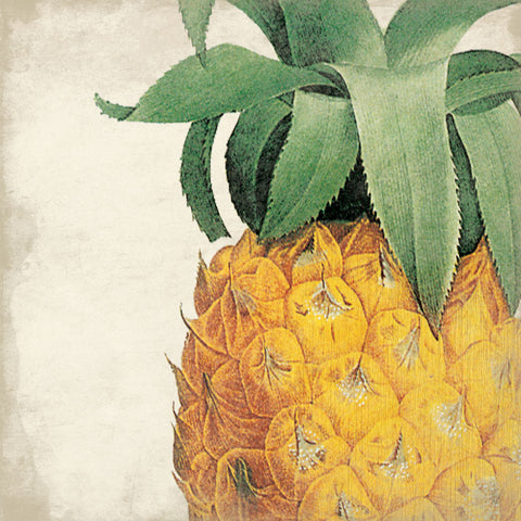 Pineapple - Wall Art - By Jace Grey- Gallery Art Company