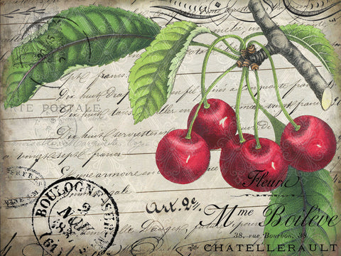 Vintage Cherries - Wall Art - By Kimberly Allen- Gallery Art Company