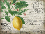 Vintage Lemon - Wall Art - By Kimberly Allen- Gallery Art Company