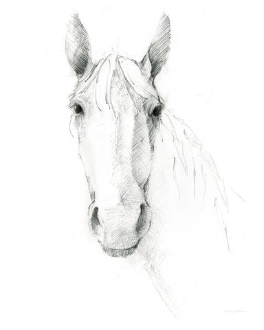 Horse Sketch - Wall Art - By Avery Tillmon- Gallery Art Company
