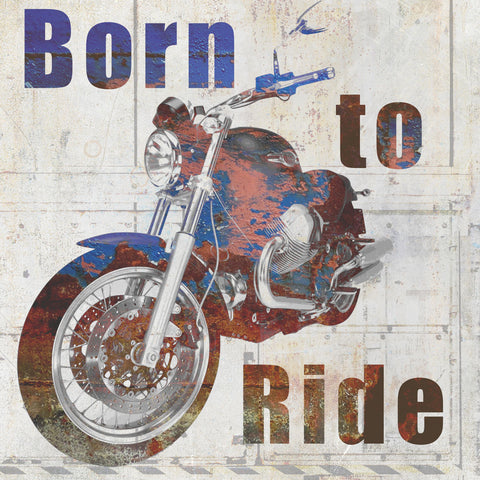Born to Ride - Wall Art - By Kimberly Allen- Gallery Art Company