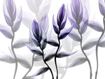 Lavender Heaven 1 - Wall Art - By Albert Koetsier- Gallery Art Company