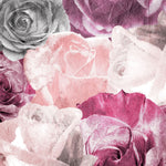 Rose Blooms 2 - Wall Art - By Kimberly Allen- Gallery Art Company