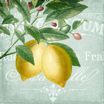 Lemon Drop 2 - Wall Art - By Kimberly Allen- Gallery Art Company