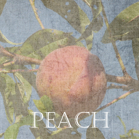 Peach - Wall Art - By Sheldon Lewis- Gallery Art Company
