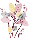 Blush Fusion 1 - Wall Art - By Albert Koetsier- Gallery Art Company