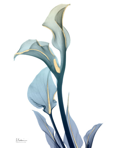 Gold Sprinkled Calla Lily - Wall Art - By Albert Koetsier- Gallery Art Company