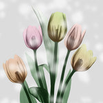 Awakening Tulips - Wall Art - By Albert Koetsier- Gallery Art Company