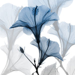 Steel Hibiscus - Wall Art - By Albert Koetsier- Gallery Art Company