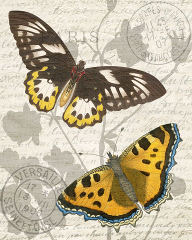 Butterfly Travel 1 - Wall Art - By Kimberly Allen- Gallery Art Company