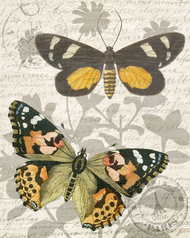 Butterfly Travel 2 - Wall Art - By Kimberly Allen- Gallery Art Company