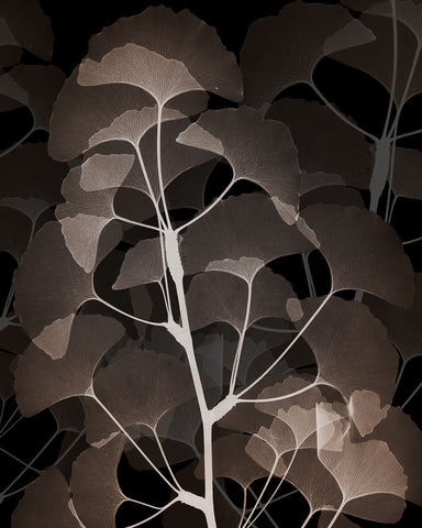 Cocoa Ginko - Wall Art - By Albert Koetsier- Gallery Art Company