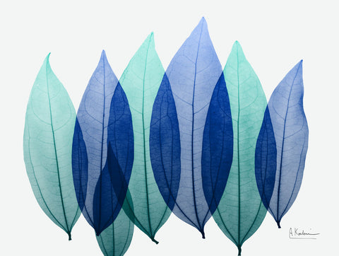 Mid Summer Night 1 - Wall Art - By Albert Koetsier- Gallery Art Company