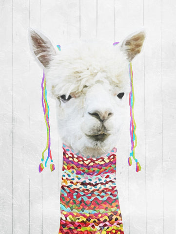 Dressed Llama - Wall Art - By Milli Villa- Gallery Art Company