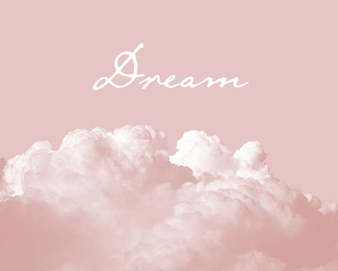 Blush Pink Dream - Wall Art - By Urban Epiphany- Gallery Art Company